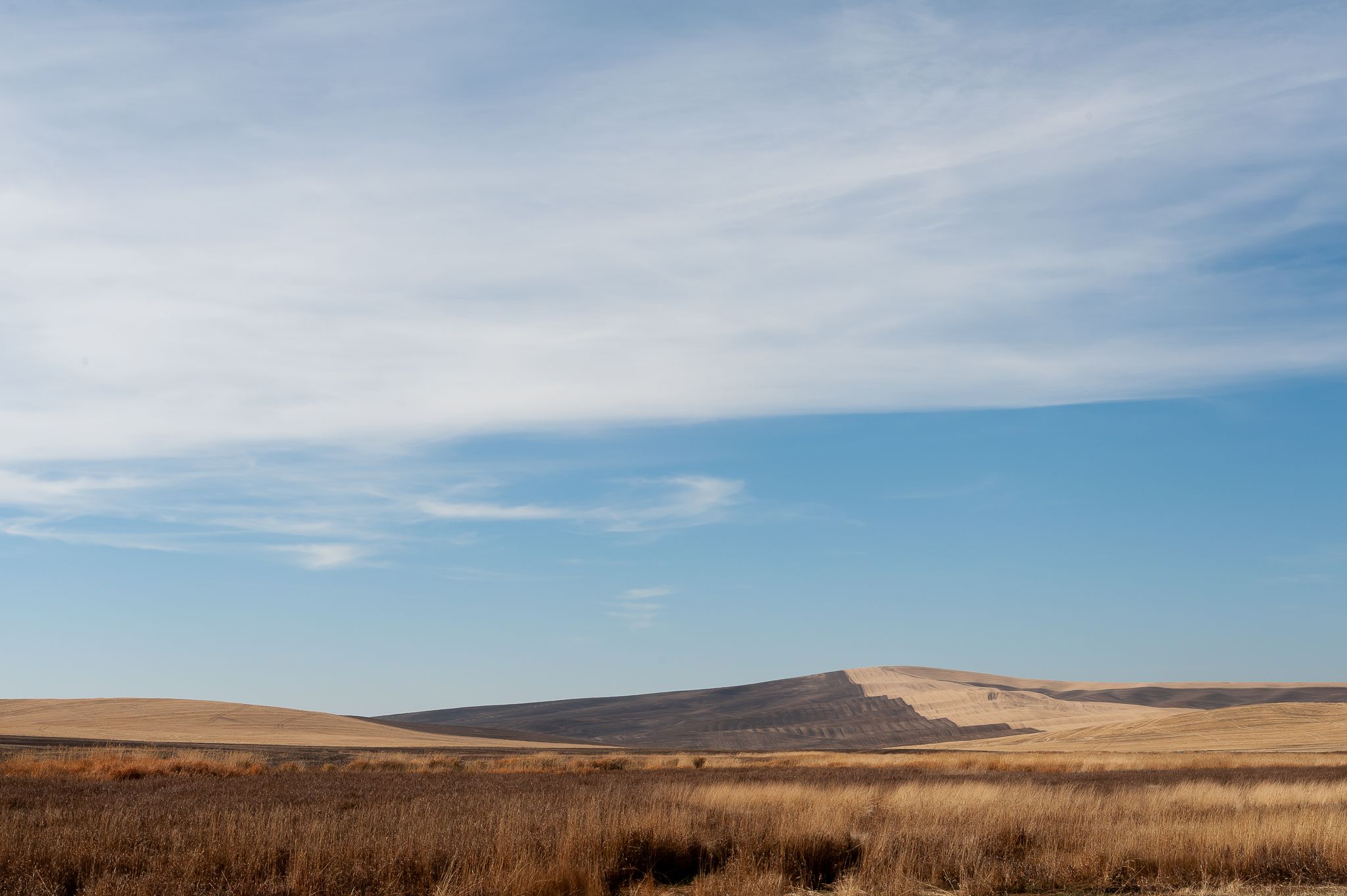 Palouse