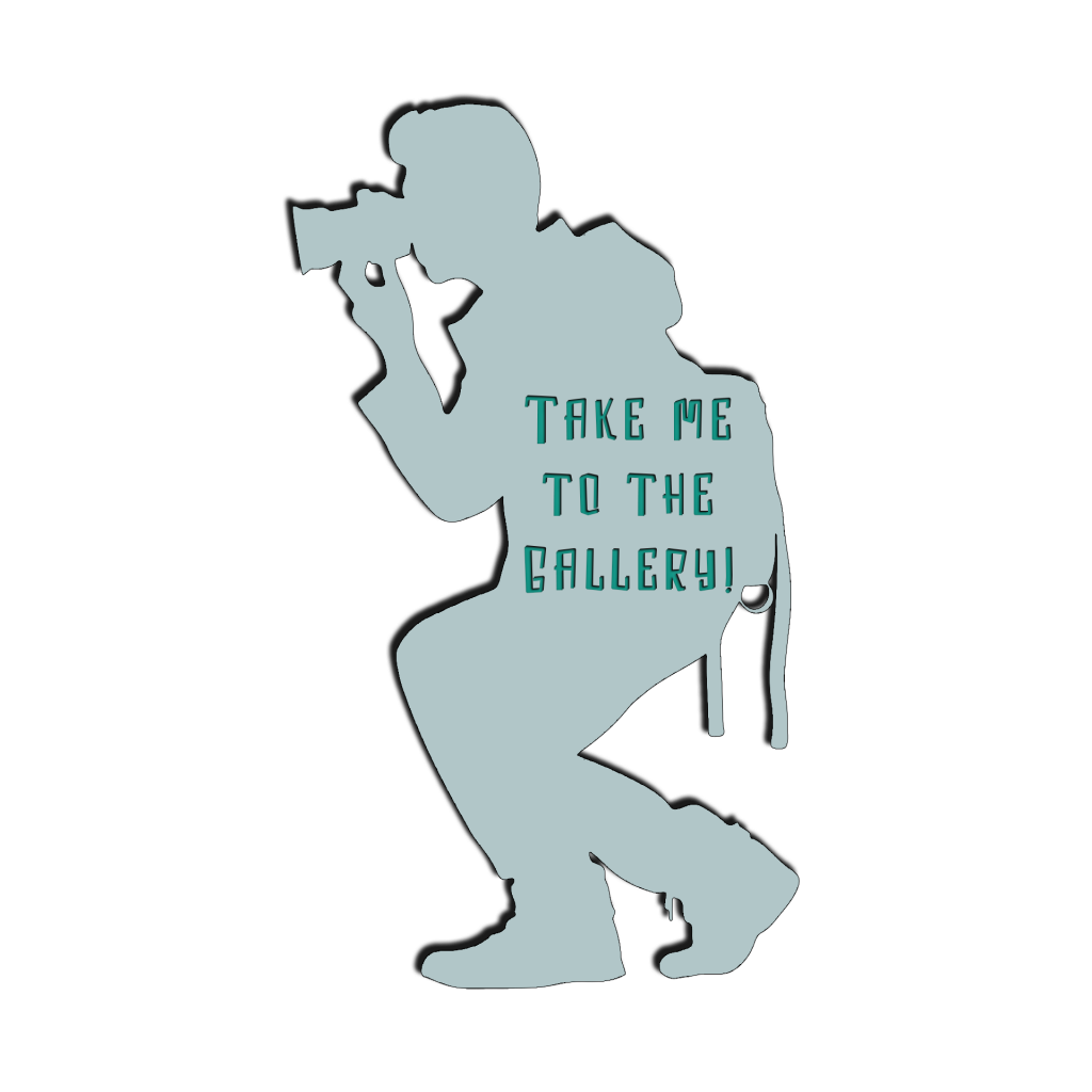 Take Me To The Gallery